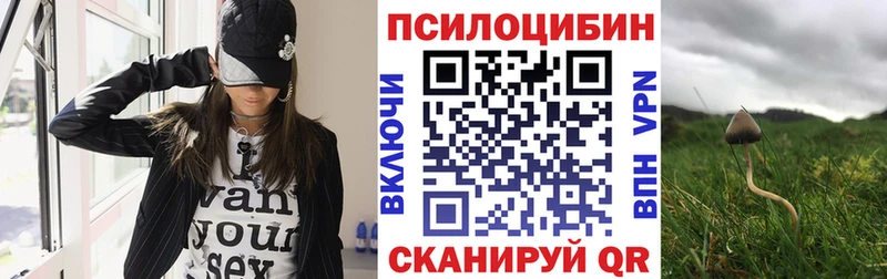 Галлюциногенные грибы Cubensis  Купить где  Закаменск 